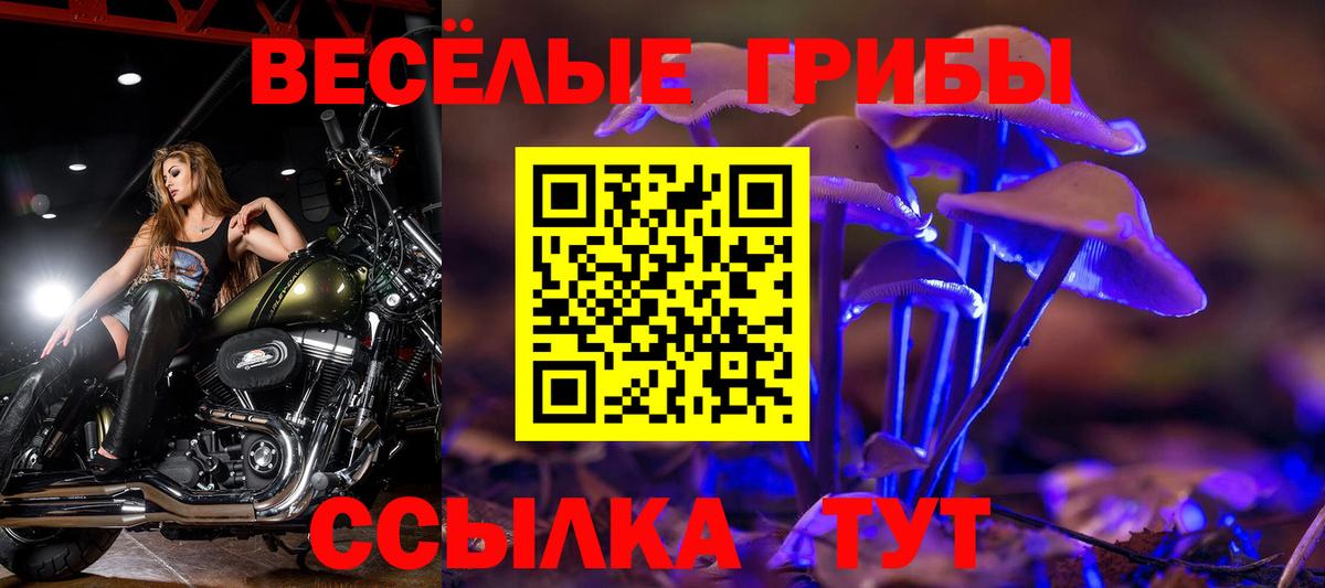 Галлюциногенные грибы GOLDEN TEACHER  Псилоцибиновые грибы Cubensis  Вход с VPN  Протвино 